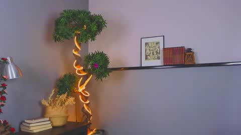 Kami online show from November 30, 3:21 am