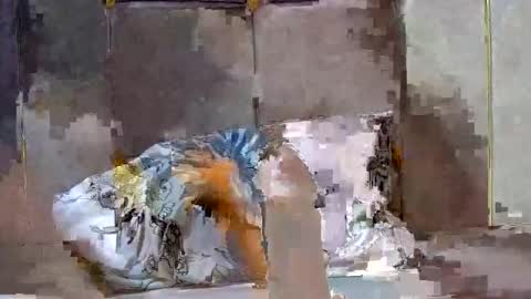 Snapshot of dark_candy254 chatting on December 13, 3:54 pm Dark Candy 254 online show from December 13, 3:54 pm
