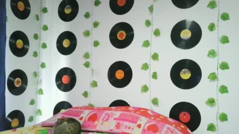 Snapshot of darlyhooper1_ chatting on February 26, 5:31 pm Darlyhooper online show from February 26, 5:31 pm