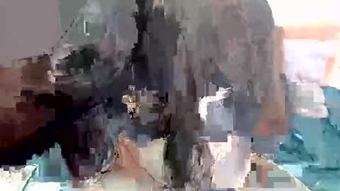 debrarose84 online show from February 23, 7:57 pm