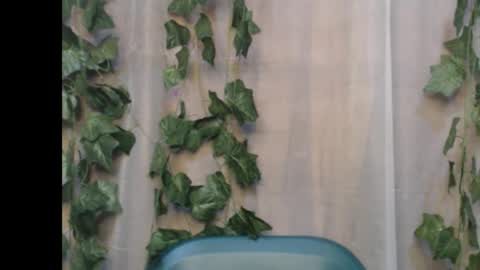 linda online show from September 9, 1:33 pm