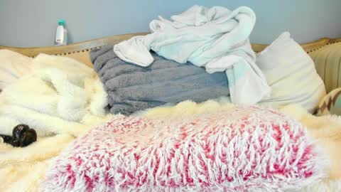 Allison online show from April 3, 3:10 pm