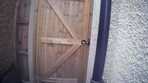 Nadia Ferreira  online show from February 10, 11:57 am