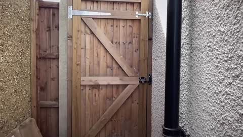 Nadia Ferreira  online show from September 23, 12:03 pm