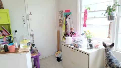 ejrabloom online show from April 1, 5:10 pm