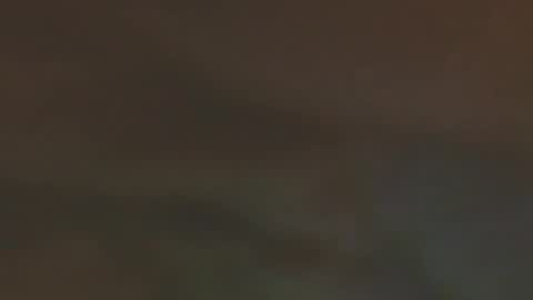 ela_3611 online show from February 1, 4:33 am