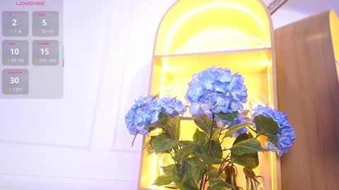 Elasummeer online show from November 29, 12:20 pm