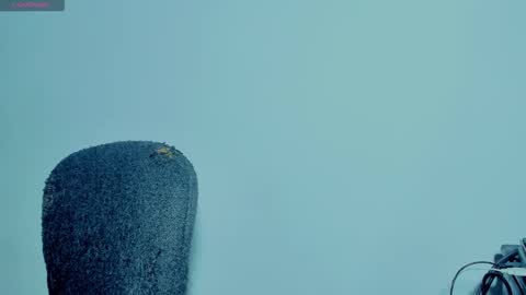 eli clark online show from September 14, 9:12 pm