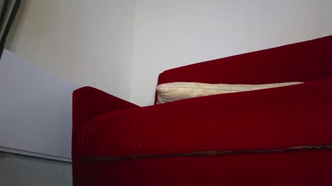 Tati online show from November 1, 9:02 am