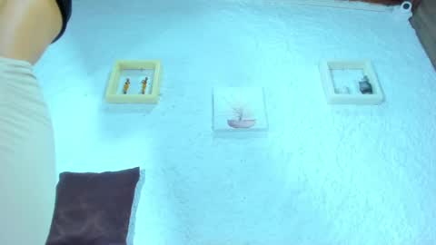 Emily online show from February 13, 12:00 pm