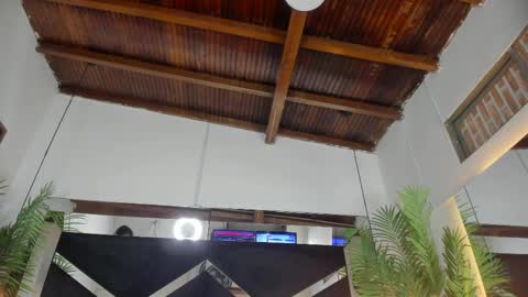 Emily  online show from November 24, 11:01 am