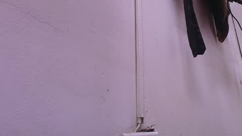 Estrella online show from February 22, 11:57 am