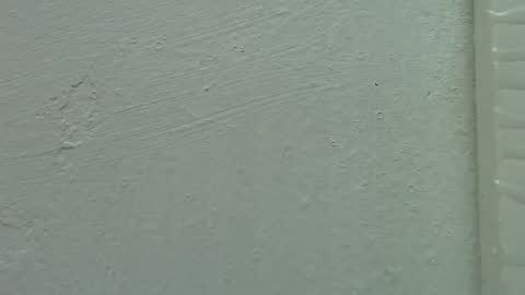 Estrella online show from February 15, 11:50 am