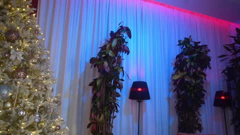 Eva online show from January 6, 6:33 pm