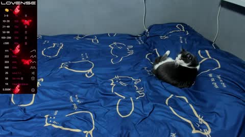 Eva online show from January 12, 1:58 pm