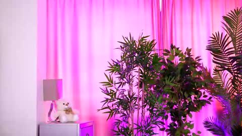 Tala online show from April 3, 8:56 am