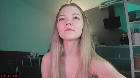 Snapshot of fairy_casey chatting on December 3, 8:06 pm fairy_casey online show from December 3, 8:06 pm