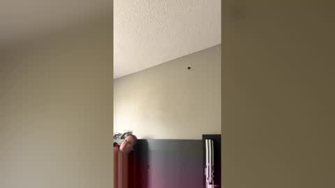 foxyladysback923 online show from December 3, 8:11 pm