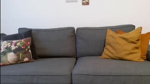 funservice online show from December 17, 9:17 am