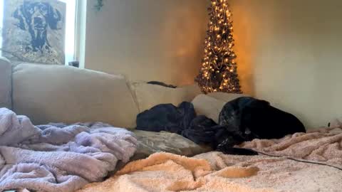 GoddessMayvn online show from January 10, 3:48 pm