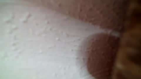 Greedy Good Girl online show from July 24, 6:22 am