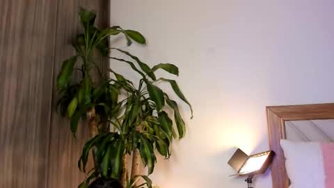 Hailey online show from February 3, 12:21 am