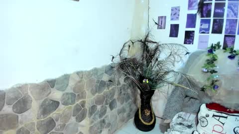 hesttia_ online show from January 11, 8:47 pm