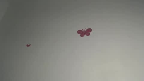 Iris online show from February 15, 7:46 pm