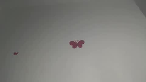 Iris online show from February 8, 9:29 pm