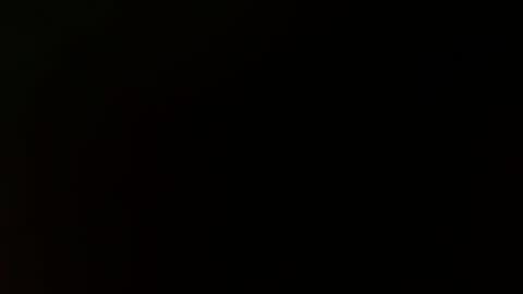 Layla online show from February 10, 11:15 am