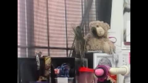 Lia online show from May 23, 6:01 am