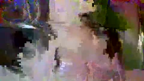 ISABELLAS WORLD online show from January 18, 6:15 pm