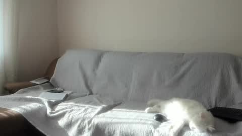 Issabelle online show from April 4, 6:23 am