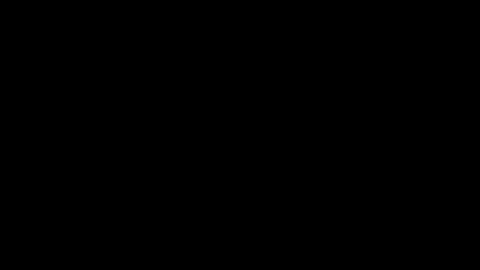 Ivy  online show from April 13, 5:25 pm