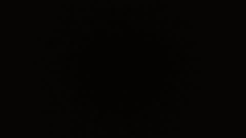 Jhulia online show from December 15, 8:25 pm