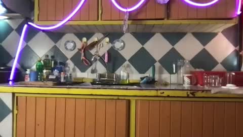 Jony Marta GMT 1400-2000 every day online show from November 19, 6:30 pm