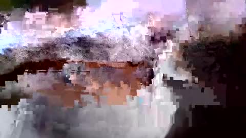 juicybabe102874 online show from February 26, 3:33 pm