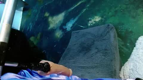    online show from March 27, 7:10 am