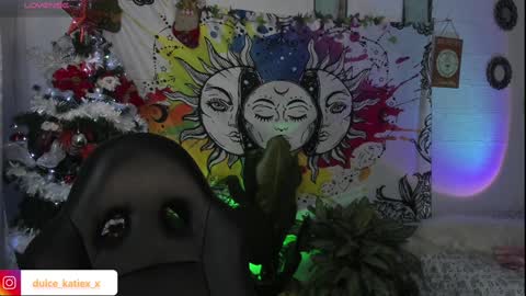 Sofia online show from December 30, 2:09 am