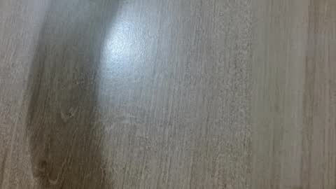 Kamelia  6 am-10 am  4 pm-6 pm online show from February 24, 11:19 am