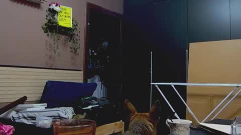 karoline121 online show from January 5, 5:27 pm