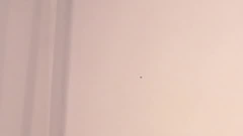 Help me with rate thanks  online show from February 23, 5:39 am