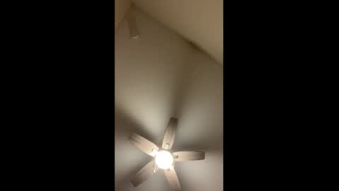 Josie live show Tuesday Wednesday and Thursday online show from November 16, 7:47 pm