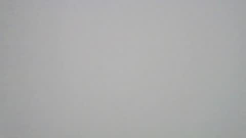 kuma online show from November 8, 8:19 am