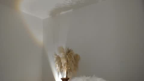 Kim Murphy online show from December 4, 12:07 pm