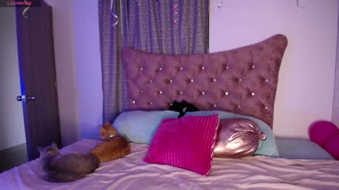  Sara  online show from December 11, 10:16 pm