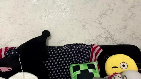 Hina online show from June 2, 1:23 pm