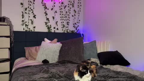 Snapshot of kisskatie chatting on December 16, 11:12 am Kaitie online show from December 16, 11:12 am