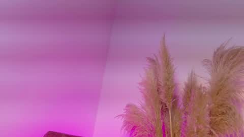 Kitty Hill online show from January 12, 4:18 am