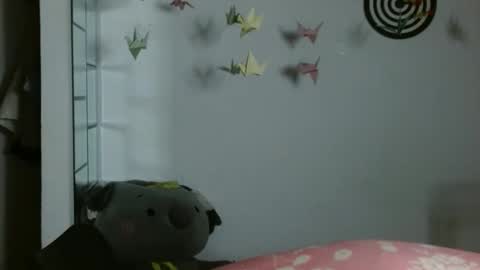 Karoll online show from January 13, 1:11 am